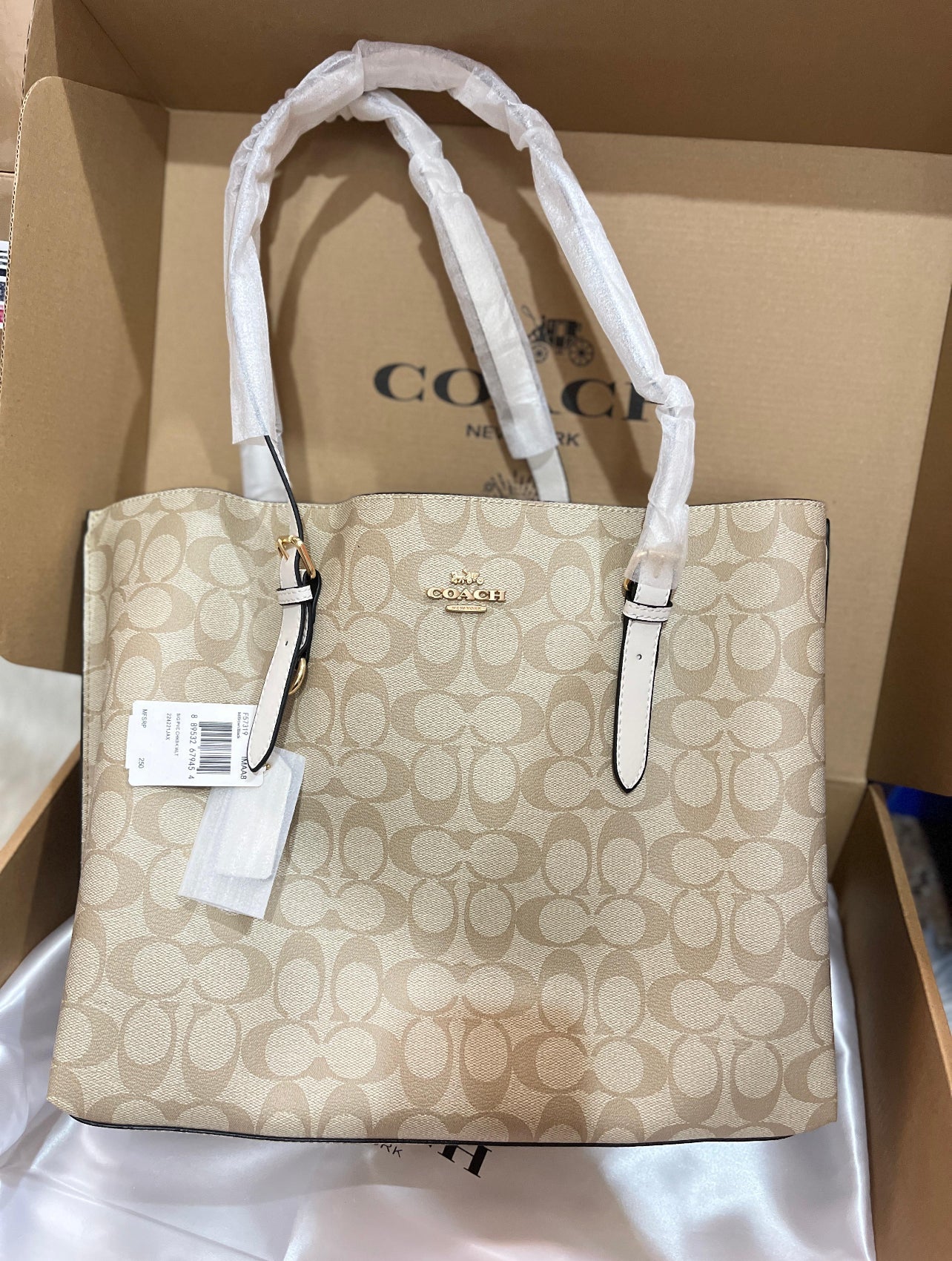 Coach Mollie Tote Bag in Signature Canvas
