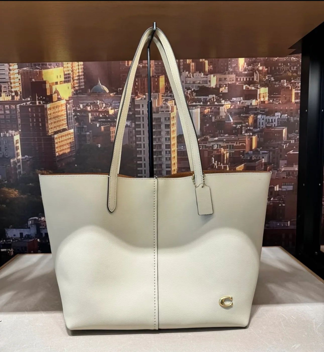 Coach North 32 Leather Tote Bag