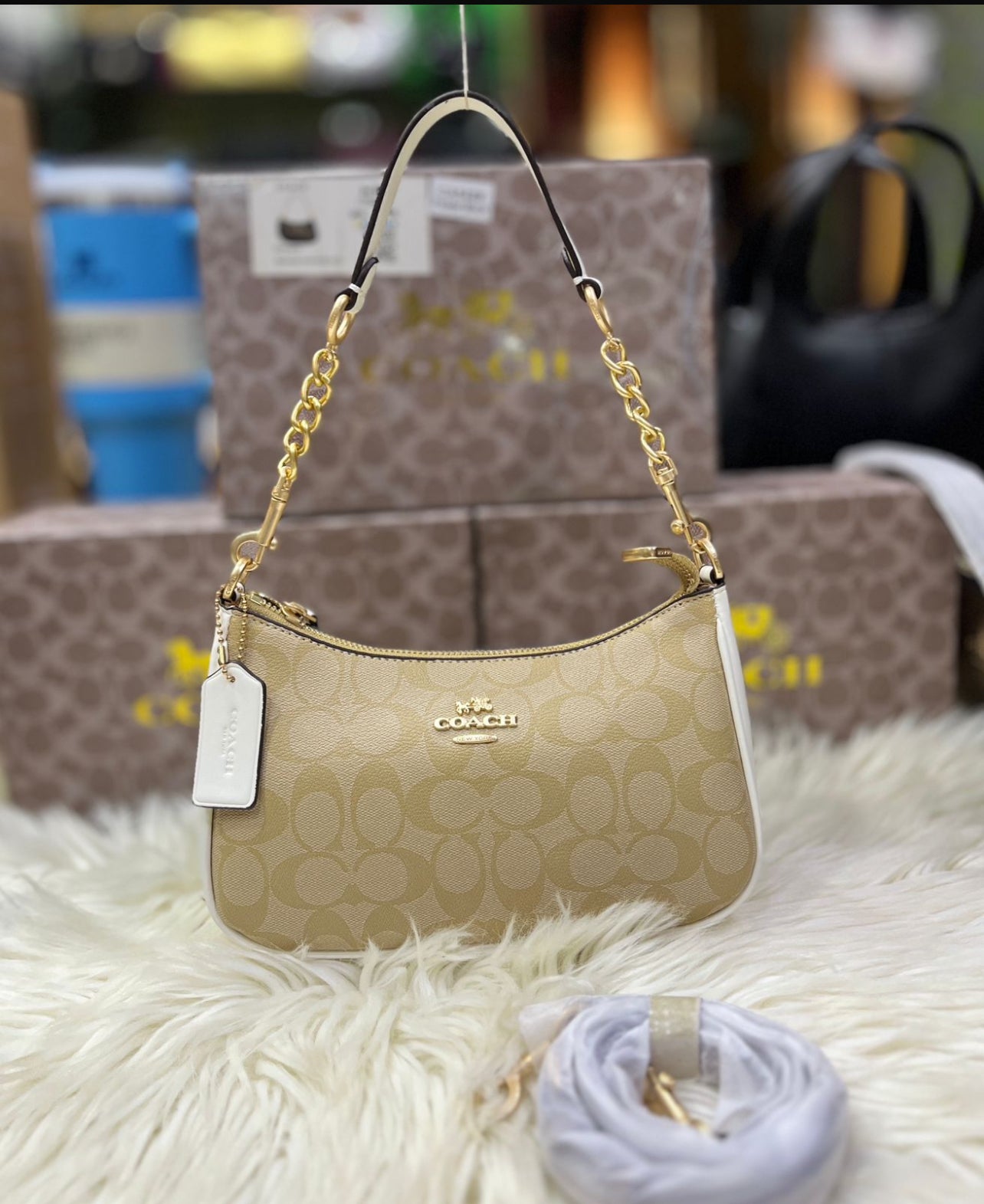 Coach Teri Shoulder Bag in Signature Canvas