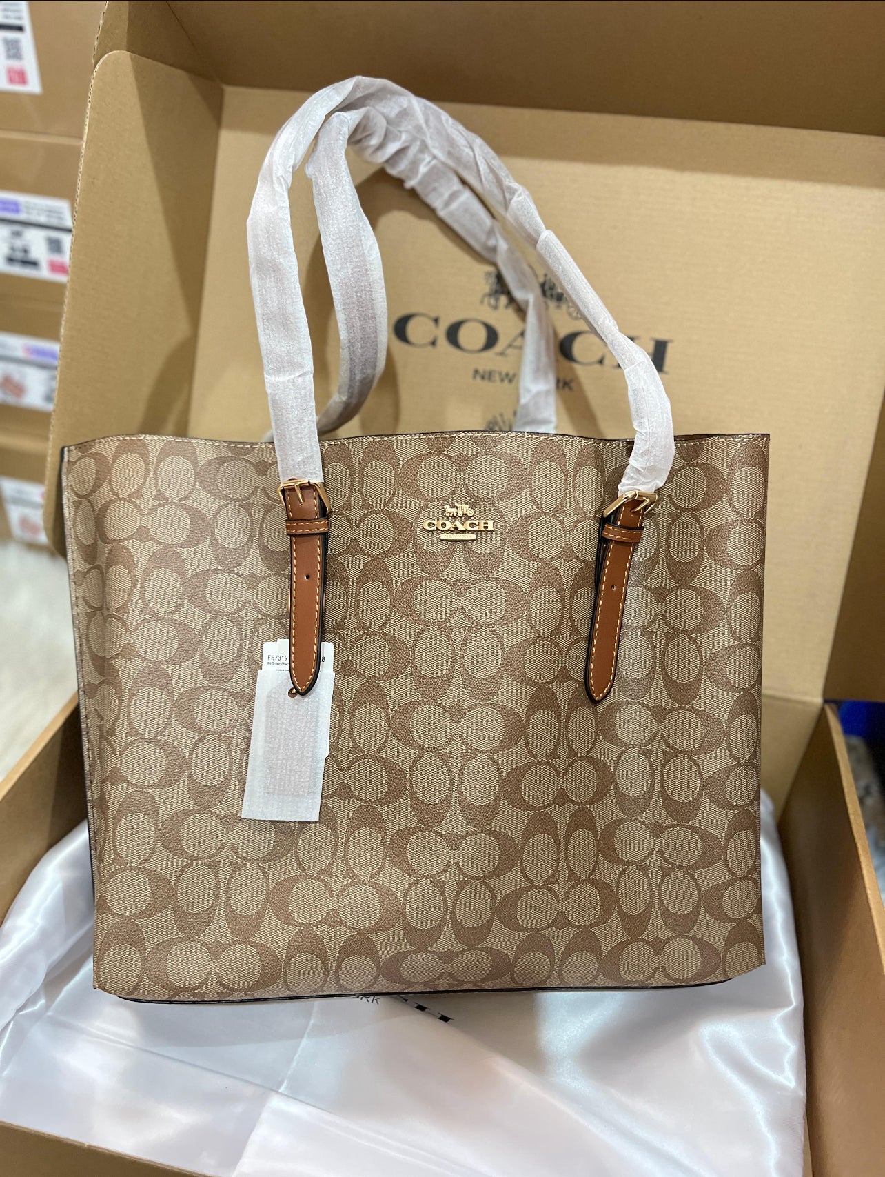 Coach Mollie Tote Bag in Signature Canvas