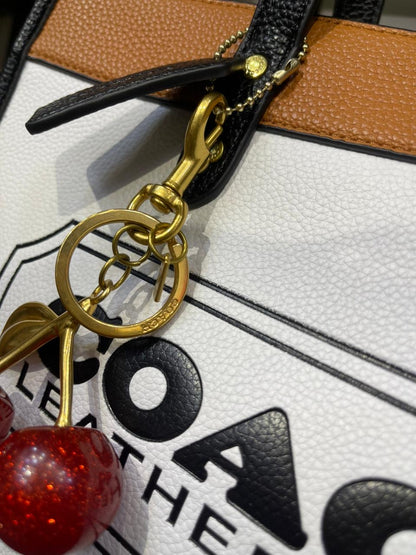 COACH Field Tote 30 in Colorblock – Chic Versatility Redefined