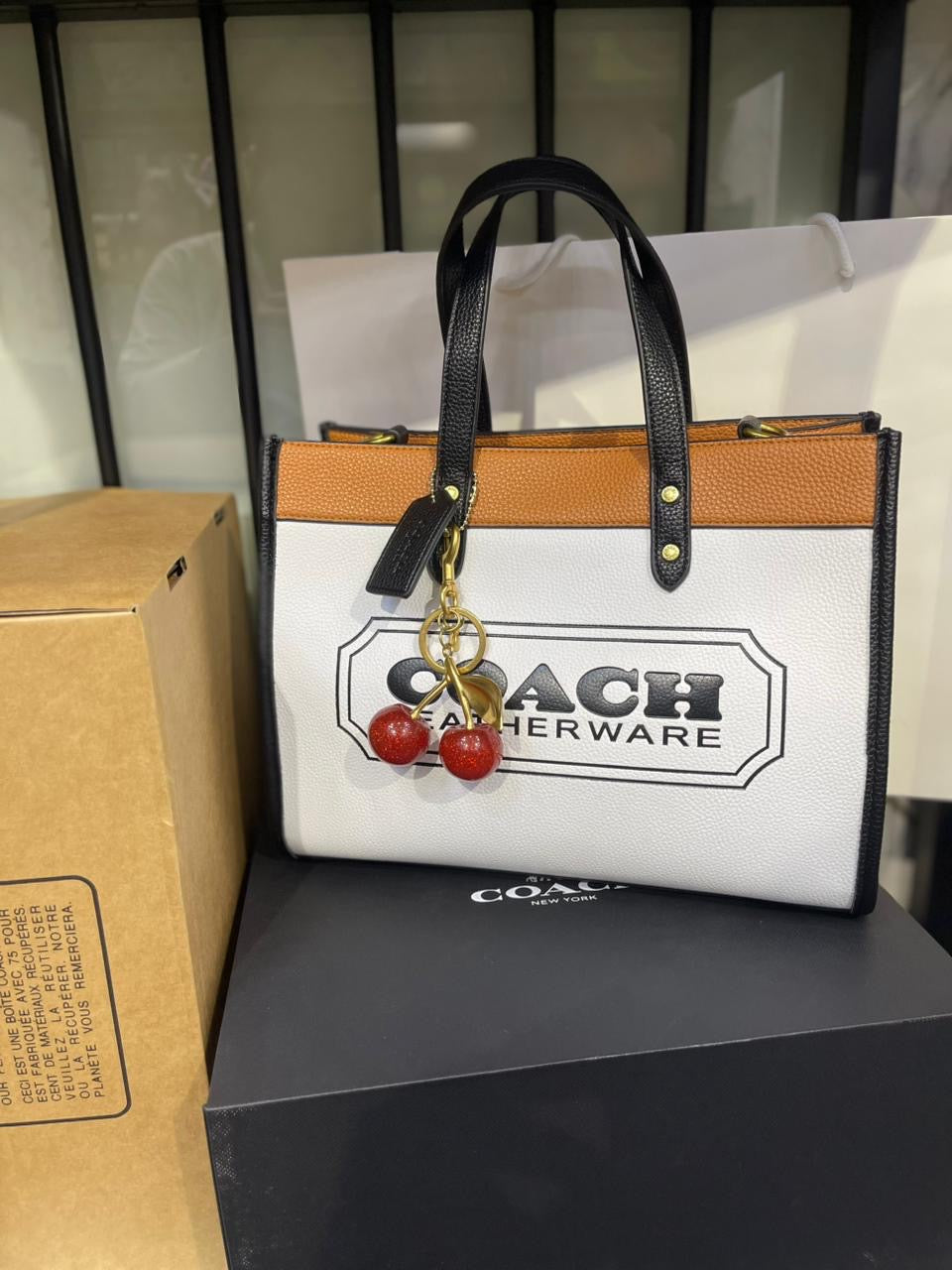 COACH Field Tote 30 in Colorblock – Chic Versatility Redefined