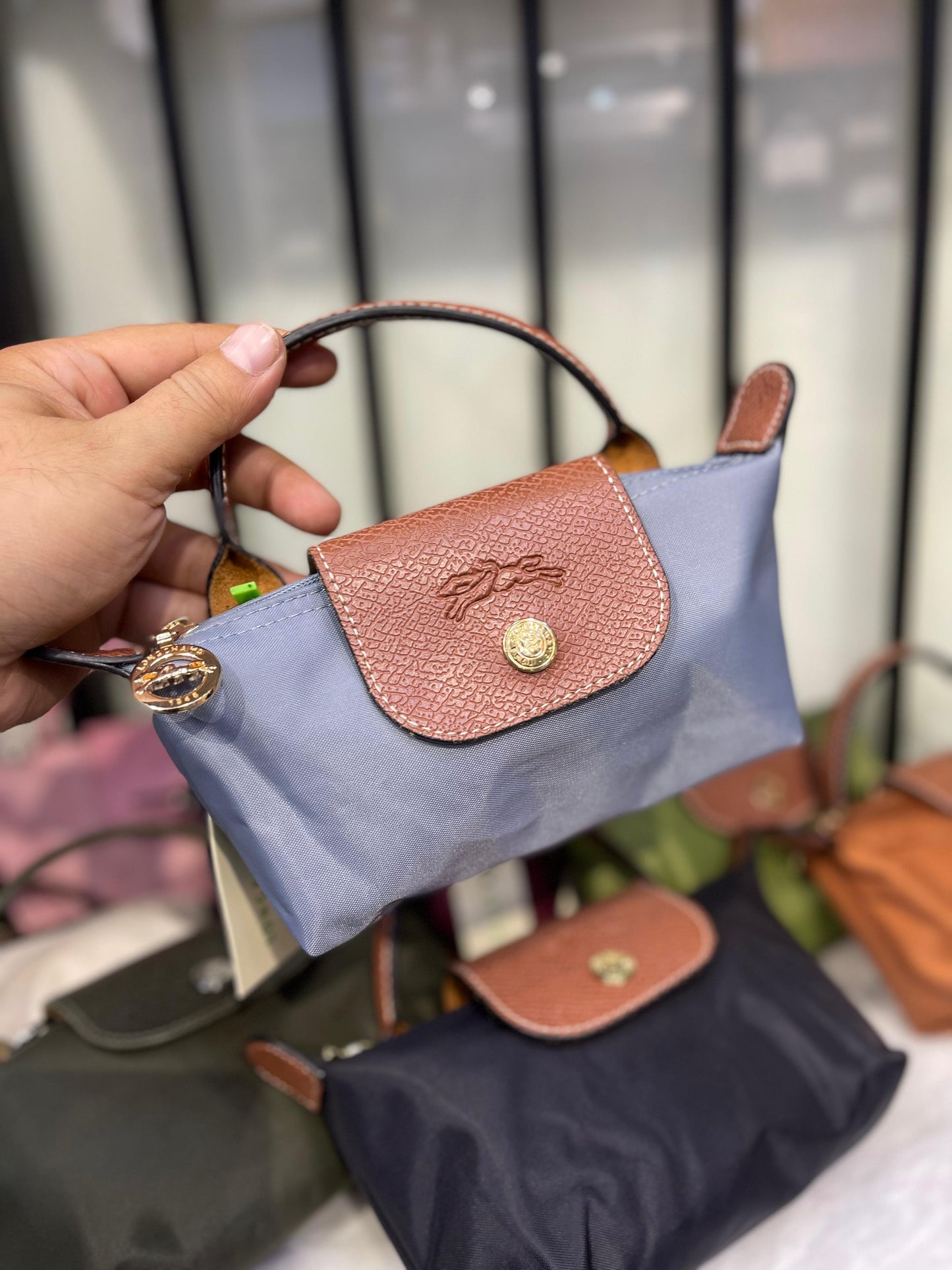 Longchamp Le Pliage Pouch with Handle